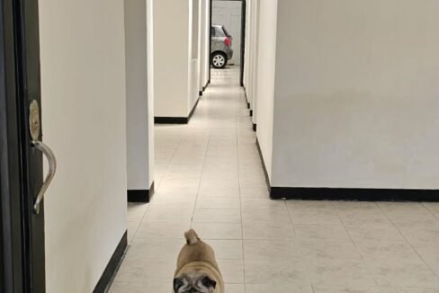 Foto del corredor hacia el salón