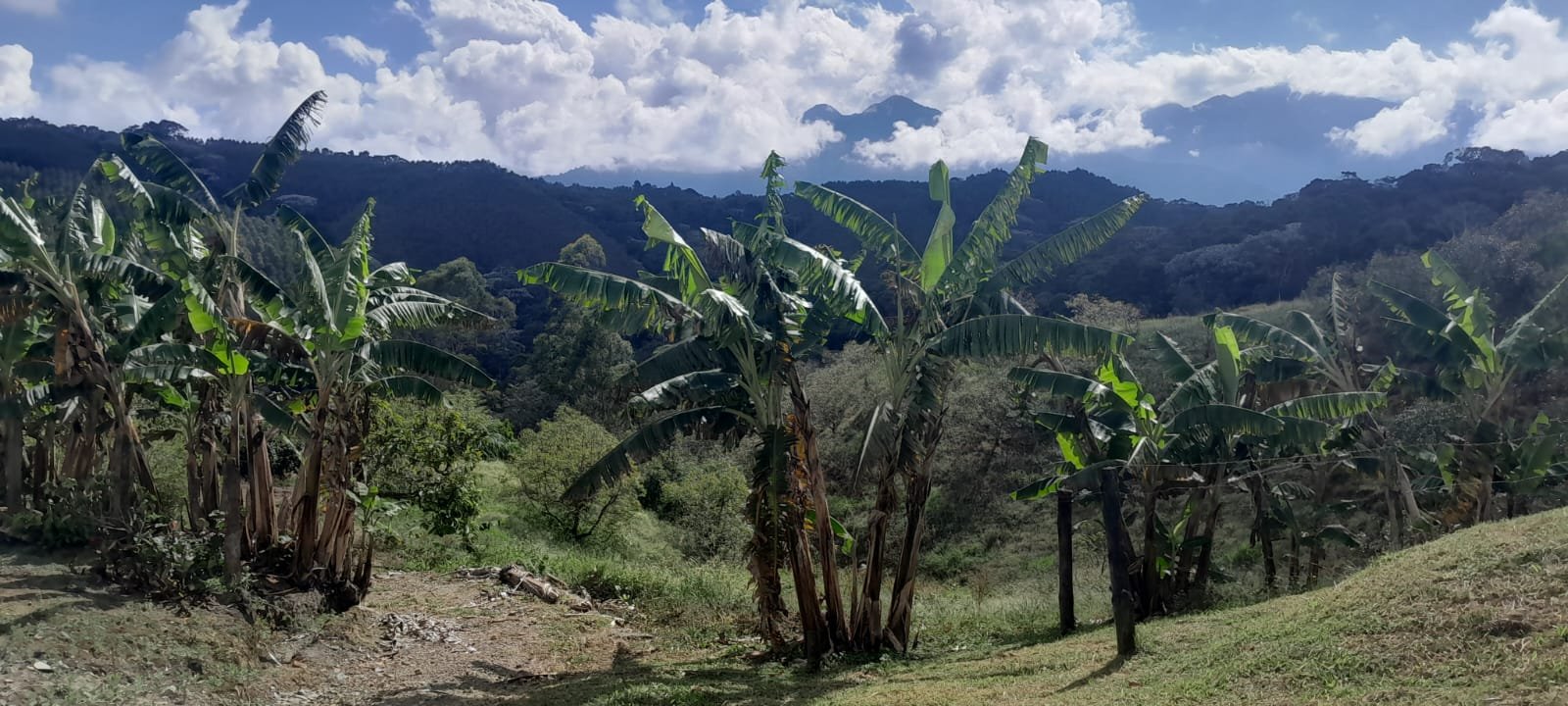 FINCA En VENTA, VEREDA EL MANZANO